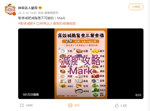 西瓜微数产品实用手册 功能大全与数字内容制作服务福利详解